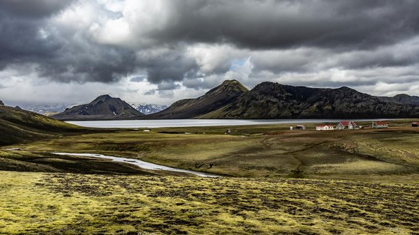 Discover the Best Fermented Foods: Secrets to Superior Gut Health for UK Residents