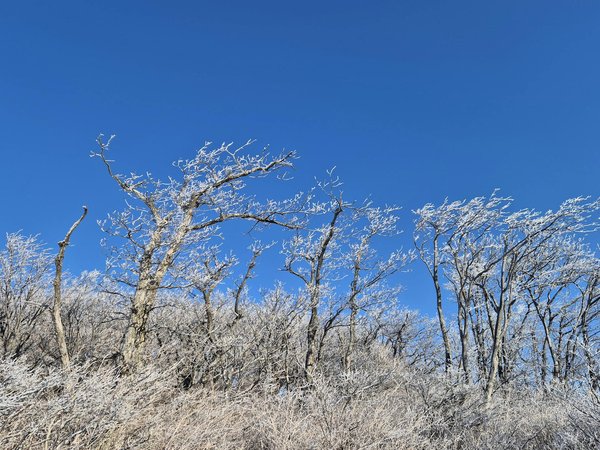 Discover the Benefits of Group Fitness Classes: The Ultimate UK Resident's Guide